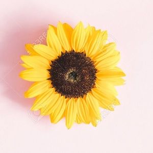 Meet your Posher, Reagan